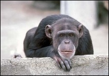 культурную традицию.jpg